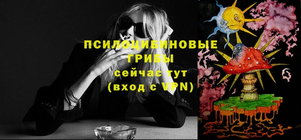 МДМА Богородицк