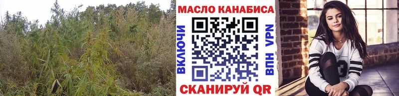 как найти закладки  Улан-Удэ  shop какой сайт  ТГК THC oil 